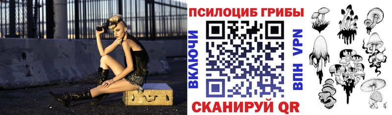 Псилоцибиновые грибы Psilocybe  наркошоп  OMG зеркало  Красноуральск 